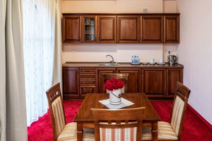 hotel *** - Hotel***Dworek Skawiński - zdjęcie 8