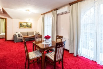 hotel *** - Hotel***Dworek Skawiński - zdjęcie 7