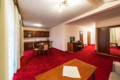 hotel *** - Hotel***Dworek Skawiński - zdjęcie 6