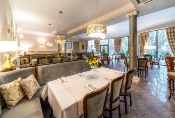 hotel *** - Hotel***Dworek Skawiński - Usługi - zdjęcie 8