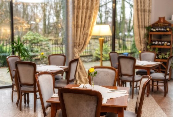 hotel *** - Hotel***Dworek Skawiński - Usługi - zdjęcie 6