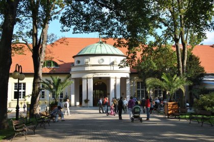 obiekt konferencyjny - Sala Źródlana Wielka Pieniawa - zdjęcie 3