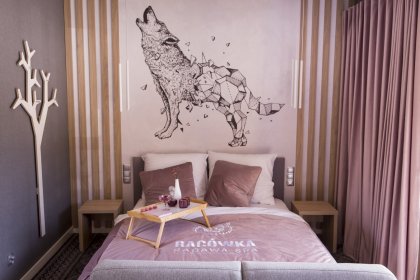 hotel **** - Hotel Bacówka Radawa & SPA**** - zdjęcie 23
