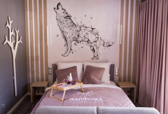 hotel **** - Hotel Bacówka Radawa & SPA**** - Pokoje - zdjęcie 9