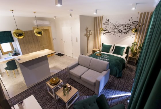 hotel **** - Hotel Bacówka Radawa & SPA**** - Pokoje - zdjęcie 15