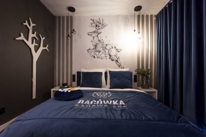hotel **** - Hotel Bacówka Radawa & SPA**** - zdjęcie 16