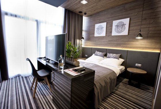 hotel **** - Hotel Bacówka Radawa & SPA**** - Pokoje - zdjęcie 14