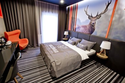 hotel **** - Hotel Bacówka Radawa & SPA**** - zdjęcie 24