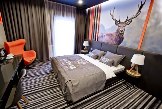 hotel **** - Hotel Bacówka Radawa & SPA**** - Pokoje - zdjęcie 11