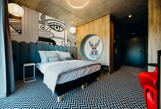 hotel **** - Hotel Bacówka Radawa & SPA**** - Pokoje - zdjęcie 1