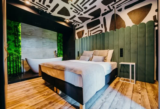 hotel **** - Hotel Bacówka Radawa & SPA**** - Pokoje - zdjęcie 6