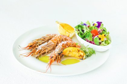 hotel *** - Hotel Kozerki*** - zdjęcie 11
