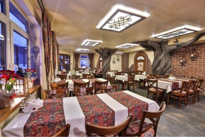 hotel *** - Hotel & SPA Jawor*** - zdjęcie 31