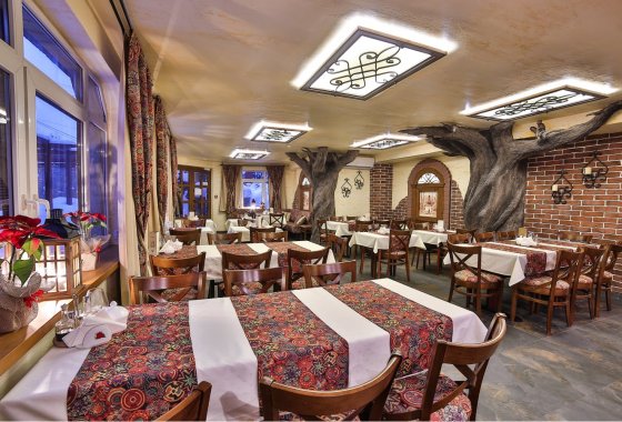 hotel *** - Hotel & SPA Jawor*** - Usługi - zdjęcie 13