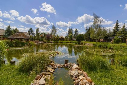 inny - Agroturystyka Mirabelkowe Zacisze - zdjęcie 7