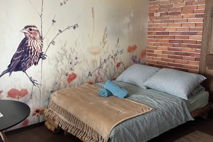 inny - Agroturystyka Mirabelkowe Zacisze - zdjęcie 11