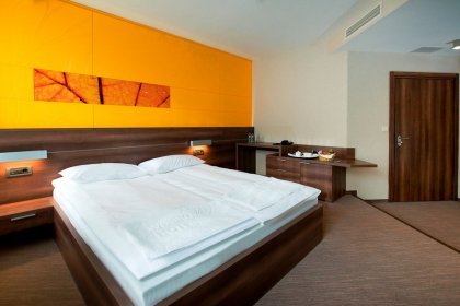 hotel - River Style Hotel & SPA - zdjęcie 13