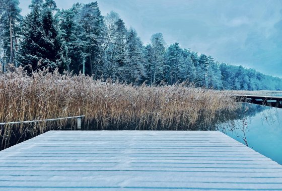 inny - Jabłoń Lake Resort - Usługi - zdjęcie 6