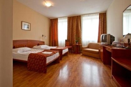 hotel *** - Hotel i Restauracja Arkadia - zdjęcie 6