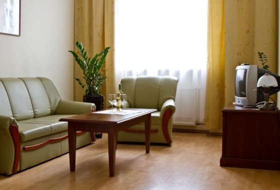 hotel *** - Hotel i Restauracja Arkadia - Pokoje - zdjęcie 7