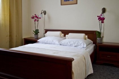hotel *** - Hotel i Restauracja Arkadia - zdjęcie 13