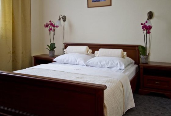 hotel *** - Hotel i Restauracja Arkadia - Pokoje - zdjęcie 2