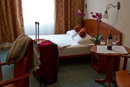 hotel *** - Hotel i Restauracja Arkadia - zdjęcie 12