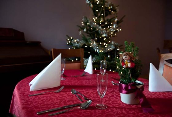 hotel *** - Hotel i Restauracja Arkadia - Usługi - zdjęcie 5