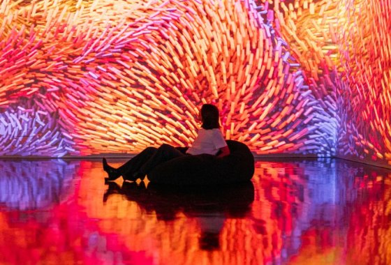 inny - melt museum - Usługi - zdjęcie 3