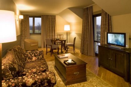 hotel **** - Hotel Sielanka nad Pilicą - zdjęcie 5