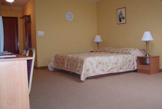 hotel - Hotel Atena - Pokoje - zdjęcie 2