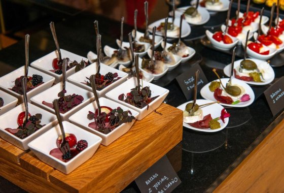 hotel **** - Hotel Wawel Queen **** - Usługi - zdjęcie 1