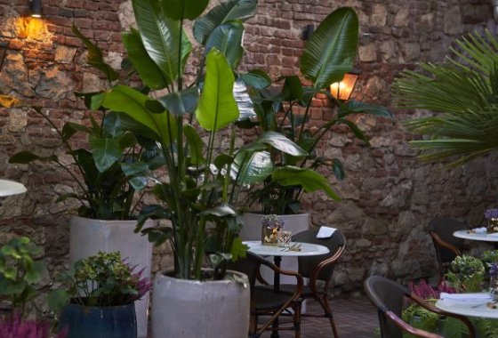 hotel ***** - Balthazar Design - Usługi - zdjęcie 1