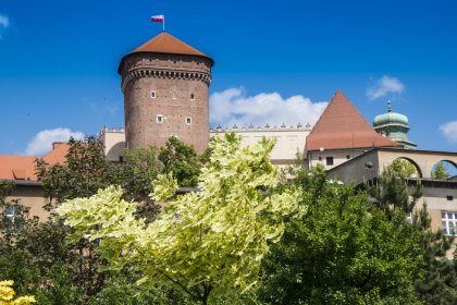hotel *** - Dom św. Szymona z Lipnicy - zdjęcie 4