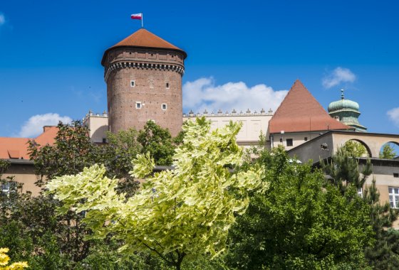 hotel *** - Dom św. Szymona z Lipnicy - Usługi - zdjęcie 1