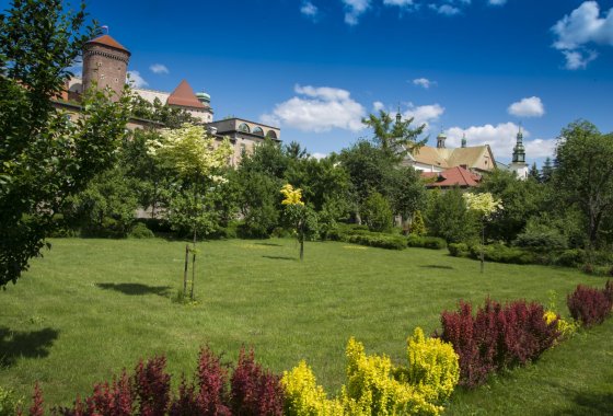 hotel *** - Dom św. Szymona z Lipnicy - Usługi - zdjęcie 2