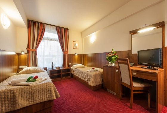 dworek - Hotel Alexander - Pokoje - zdjęcie 1
