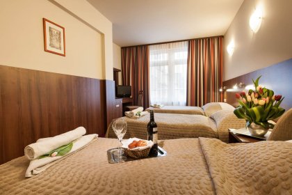 dworek - Hotel Alexander - zdjęcie 3