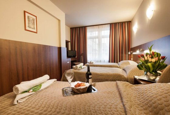 dworek - Hotel Alexander - Pokoje - zdjęcie 2