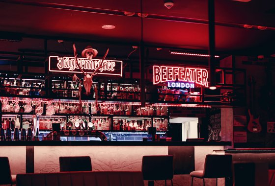 hotel **** - Grape Town - Usługi - zdjęcie 4