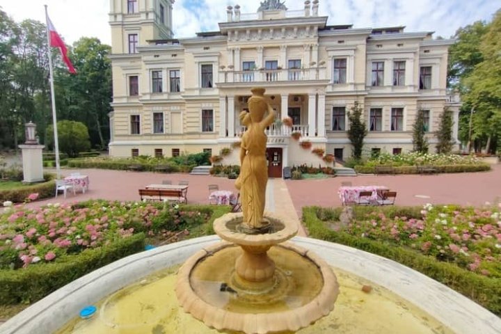 Zamek Biedrusko
