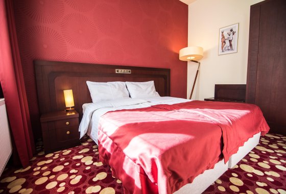 hotel *** - Hotel Rodan - Pokoje - zdjęcie 1