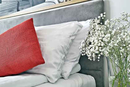 hotel *** - Hotel ForZa - zdjęcie 3