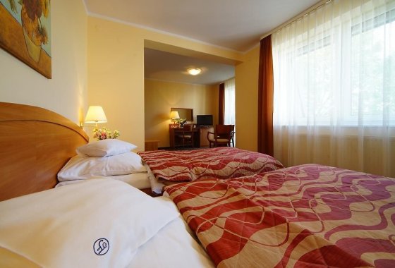 pensjonat - Hotel Feniks - Pokoje - zdjęcie 2