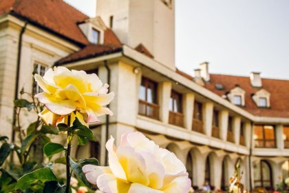 hotel *** - Hotel Zamek Pułtusk *** Dom Polonii - zdjęcie 7
