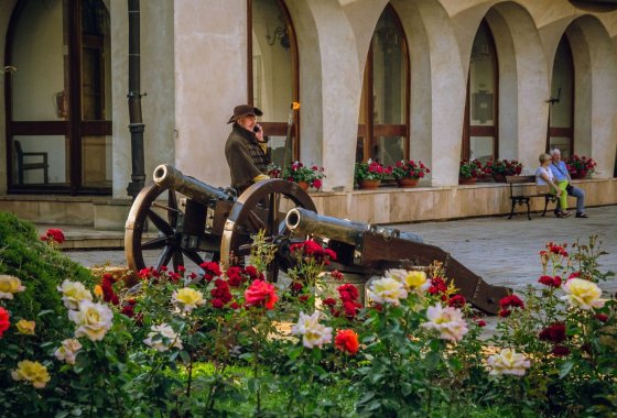hotel *** - Hotel Zamek Pułtusk *** Dom Polonii - Usługi - zdjęcie 4