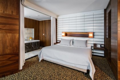 hotel **** - Airport Hotel Okęcie - zdjęcie 17