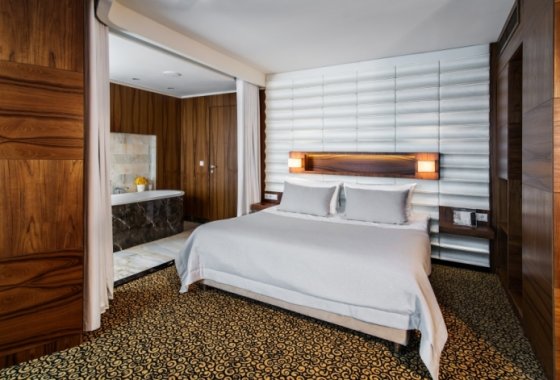 hotel **** - Airport Hotel Okęcie - Pokoje - zdjęcie 15