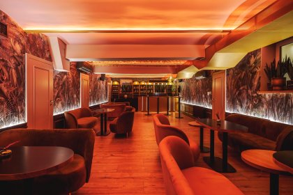 hotel **** - Hotel Apis - zdjęcie 4