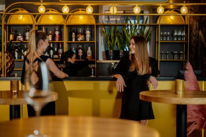 hotel **** - Hotel Apis - zdjęcie 3